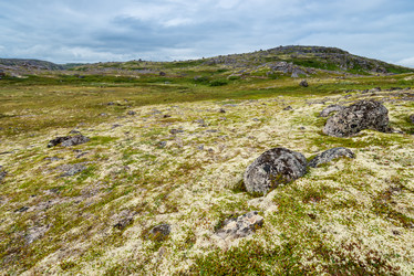 Similar image 21904072