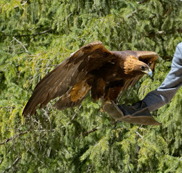 Similar image 21905148