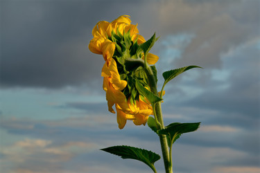 Similar image 21895859