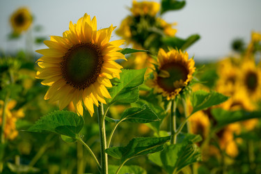 Similar image 21895860