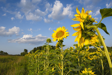 Similar image 21895861