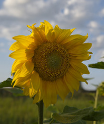 Similar image 21895862