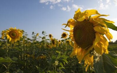 Similar image 21895864