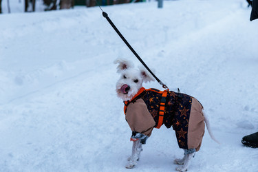 Similar image 21899406