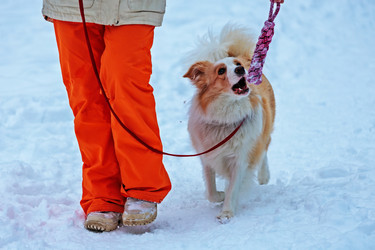 Similar image 21899407