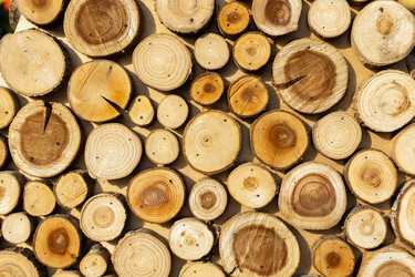 Similar image 21899408