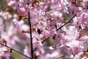 Similar image 21899409