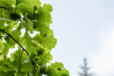 Similar image 21899410