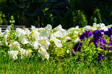 Similar image 21895233