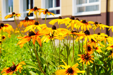 Similar image 21895238