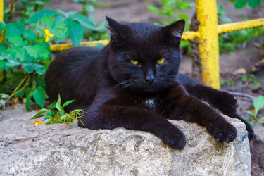 Similar image 21895866