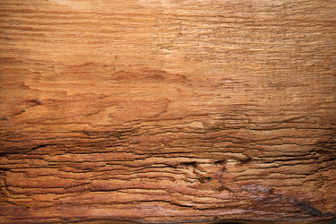 Similar image 21902465