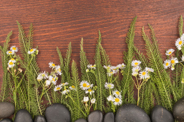 Similar image 21902466