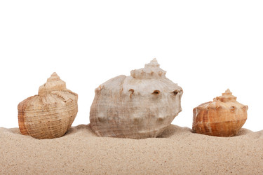 Similar image 21900301