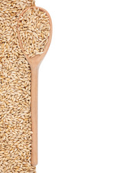 Similar image 21900321