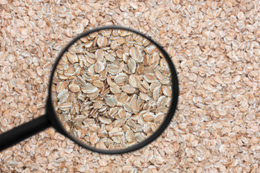 Similar image 21900328