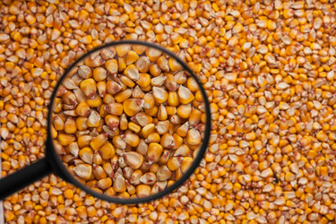 Similar image 21900329