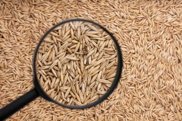 Similar image 21900331