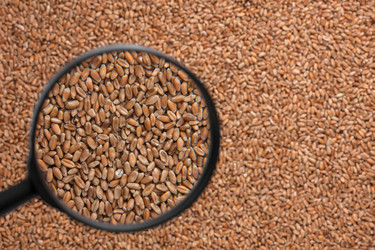 Similar image 21900334