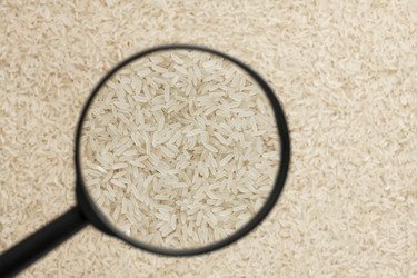 Similar image 21900335