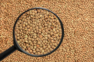 Similar image 21900336