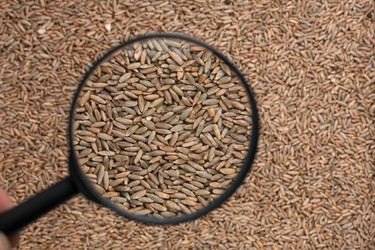 Similar image 21900337