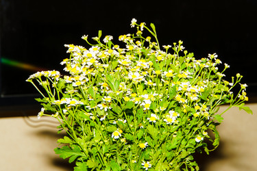 Similar image 21897600