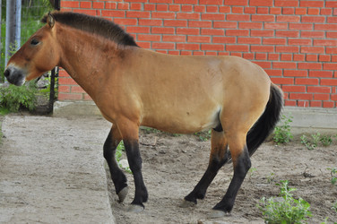 Similar image 21896282