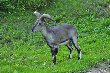 Similar image 21896283