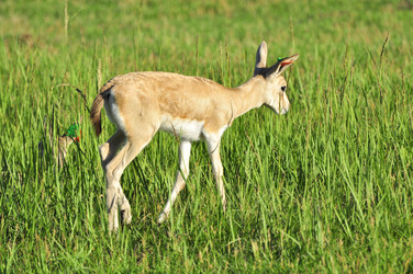 Similar image 21896284