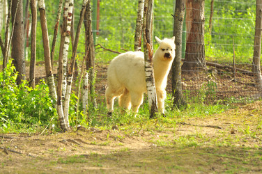 Similar image 21896287