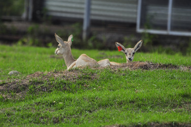 Similar image 21896293