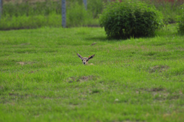 Similar image 21896294