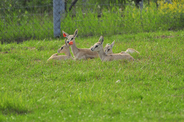 Similar image 21896295