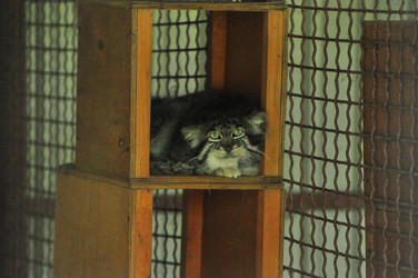 Similar image 21896195