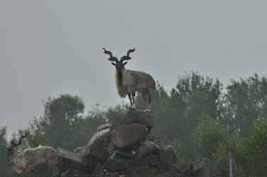 Similar image 21896197