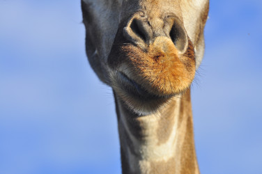 Similar image 21896199