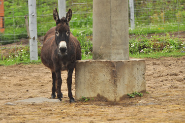 Similar image 21896203