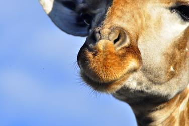 Similar image 21896204