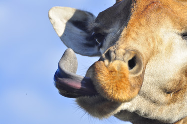 Similar image 21896205