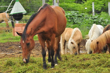 Similar image 21896206