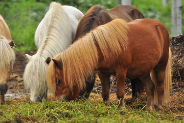 Similar image 21896207