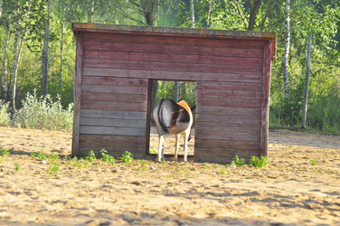 Similar image 21896208