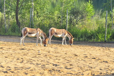 Similar image 21896209