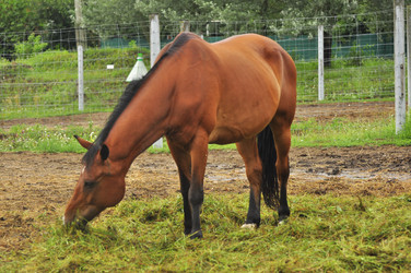 Similar image 21896210