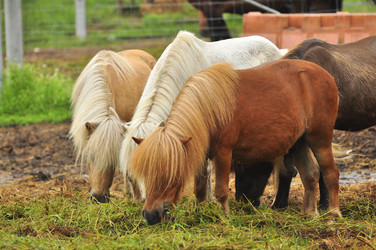 Similar image 21896212