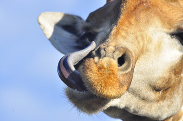 Similar image 21896213