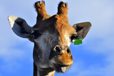 Similar image 21896214