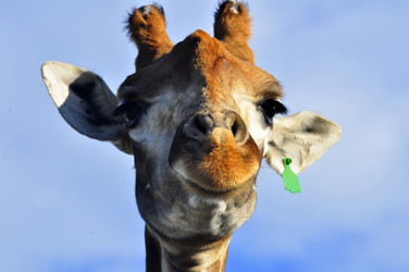 Similar image 21896215