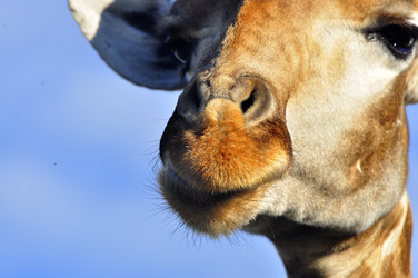 Similar image 21896217